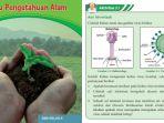 buku-IPA-Kelas-10-Kurikulum-Merdeka-halaman-35.jpg