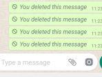 deleted-messages.jpg