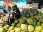 kelapa-muda-masohi.jpg