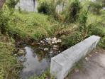 kolam-keruh1.jpg