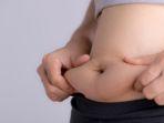 lemak-perut.jpg