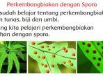 sd-kelas-3-tema-1-subtema-4-pembelajaran-5.jpg