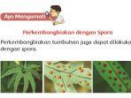spora.jpg