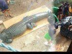 tubuh-wanita-ditemukan-didalam-rahang-buaya-raksasa-bksda-jambi-kami-lakukan-penangkapan.jpg
