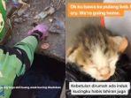 viral-video-driver-ojek-online-ojol-menyelamatkan-anak-kucing-yang-tenggelam-di-selokan.jpg