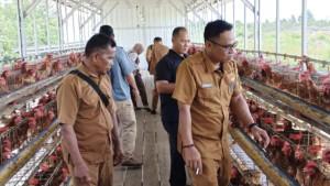20250922_kandang-ayam-petelur.jpg