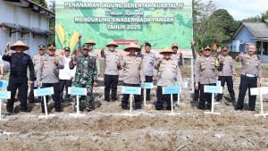 20251008_penanaman-jagung-serentak.jpg