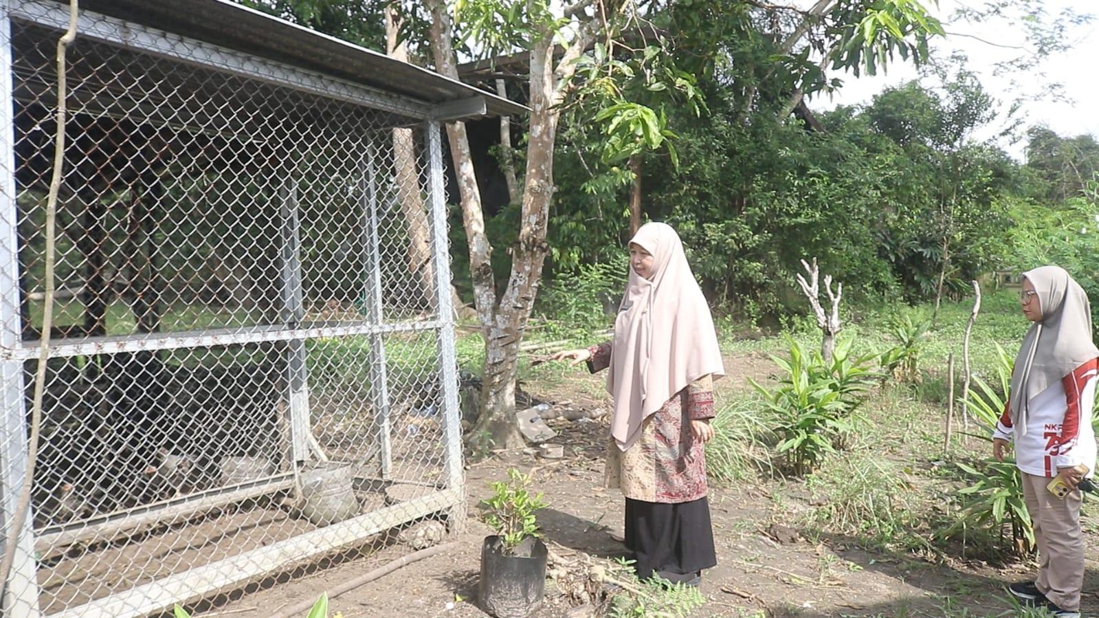PETERNAKAN-TERPADU123456.jpg