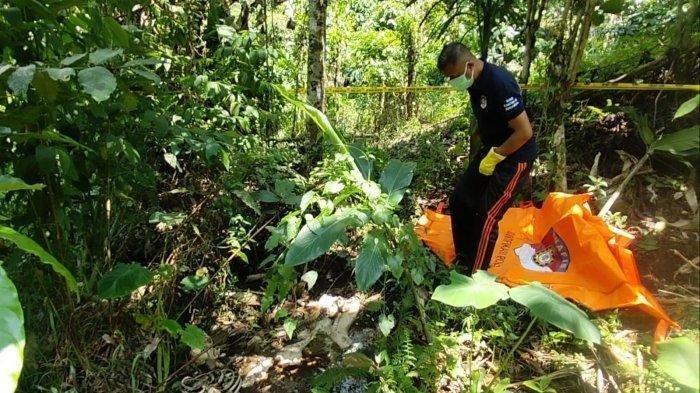 Dilaporkan Hilang Sejak 20 Oktober, Mulyadi Ditemukan Tinggal Kerangka di Kebun Kopi Bengkulu
