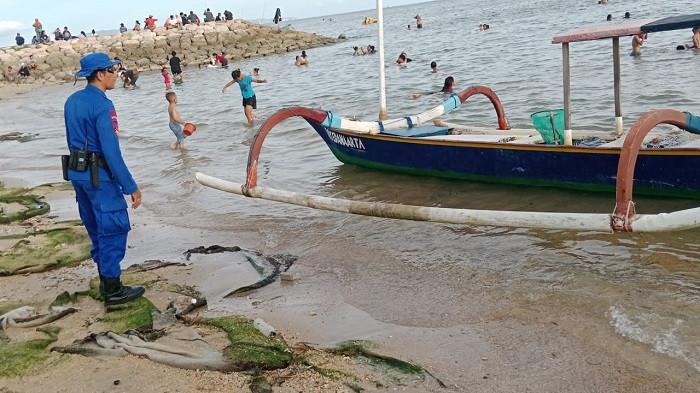 HILANG - Jukung milik Wayan Dana, nelayan yang hilang saat melaut diduga mengalami laka laut. Saat ini Tim SAR gabungan melanjutkan pencarian, Jumat 21 November 2025.