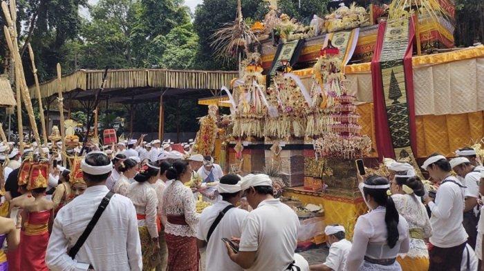Puri Ubud Adakan Karya Agung Tawur Panca Wali Krama Gunakan Sarana 3 Ekor Kerbau