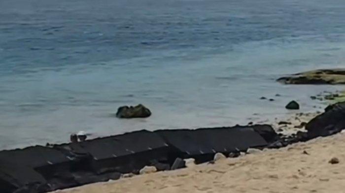 Pantai Pecatu hingga Kuta Diterjang Abrasi, Giri Prasta Segera Koordinasi dengan BWS Bali Penida