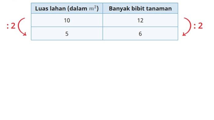 Kunci Jawaban Matematika Kelas 6 SD Kurikulum Merdeka Halaman 56 57 jawaban a