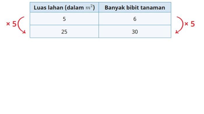 Kunci Jawaban Matematika Kelas 6 SD Kurikulum Merdeka Halaman 56 57 jawaban b