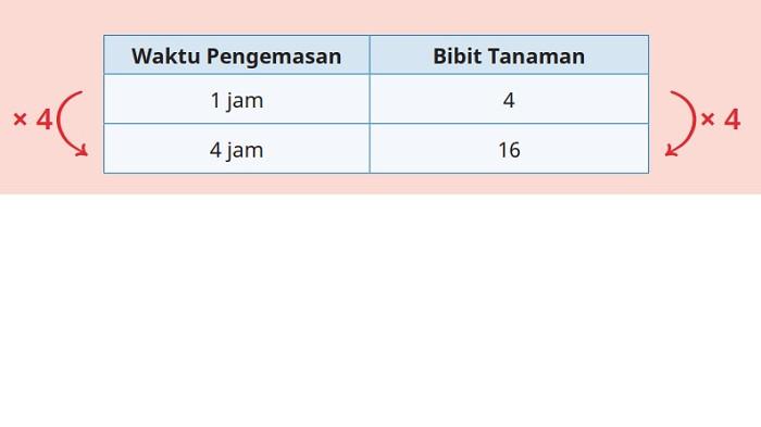 Kunci Jawaban Matematika Kelas 6 SD Kurikulum Merdeka Halaman 63 jawaban b
