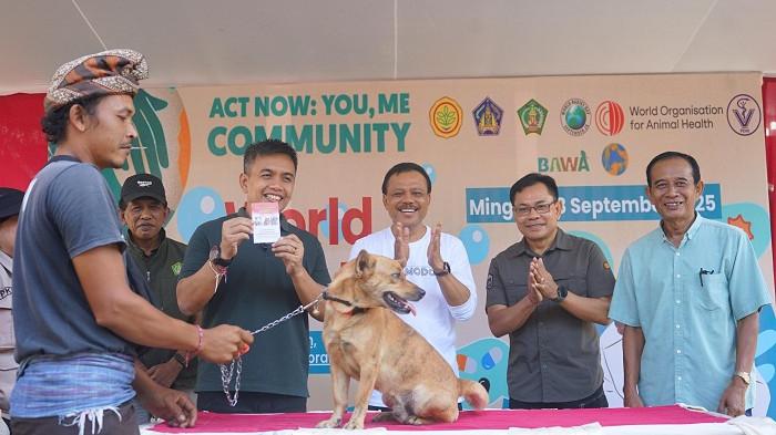 NAIK 2 Kali Lipat dari Tahun Lalu, Kasus Rabies 2025 di Jembrana, 96 Kasus Rabies Selama 9 Bulan!