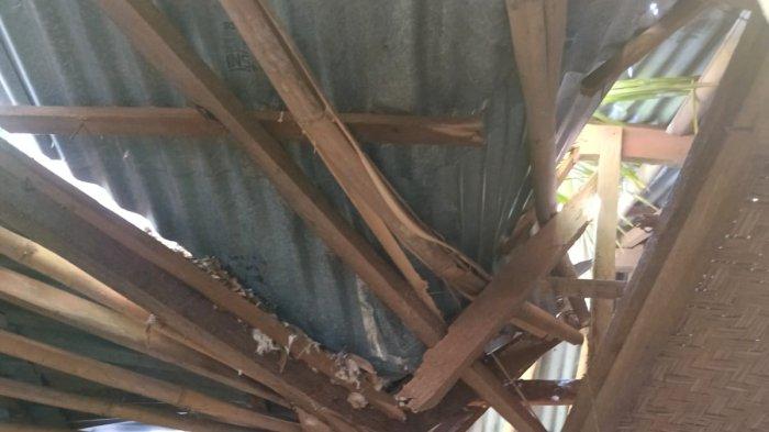 Pohon Tumbang Timpa Rumah Warga di Desa Selumbung Karangasem, Alami Kerusakan di Atap