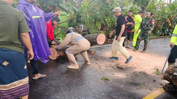 Pohon Aren dan Kelapa Tumbang Timpa Gudang Kayu di Abiansemal, Kerugian Capai Rp100 Juta