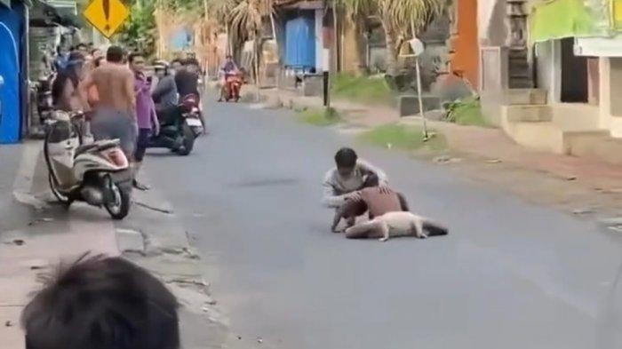 Viral Video Buruh Bangunan Merangkak di Jalan Raya Dawan Kaler Klungkung, Mulut Berbau Alkohol