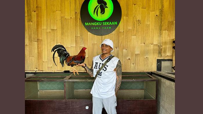 Mangku Sekaan dan Kisah Suksesnya sebagai Peternak Ayam, Mulai Bisnis Sejak 25 Tahun Lalu