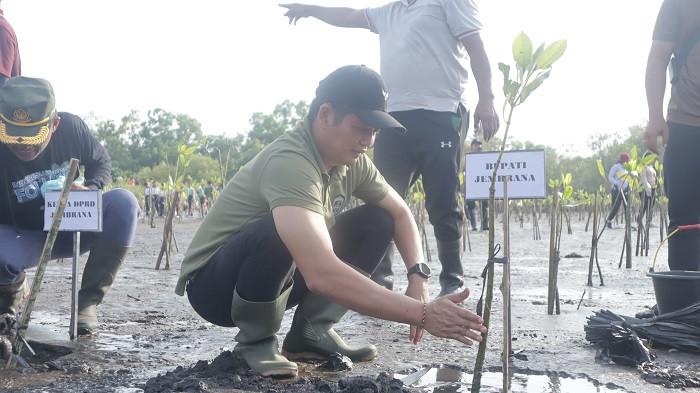 TANAM POHON - Aksi penanaman ribuan bibit pohon di wilayah pendamping hutan, sepanjang daerah aliran sungai (DAS) hingga pesisir di Jembrana, Minggu (26/10/2025).