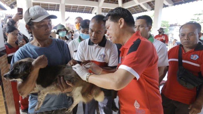 Selama Lima Bulan, 23 Anjing Positif Rabies di Klungkung Bali