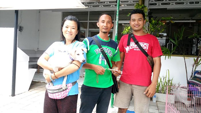 'Karena Saya Orang Bali Lestarikan Kuluk Bali', Empat Anjing Bali Teradopsi Hari Ini