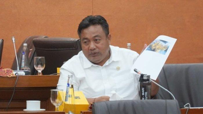 Terjebak Macet Bayar Parkir di Bandara, DPR RI Nyoman Parta Minta Angkasa Pura Bali Segera Benahi