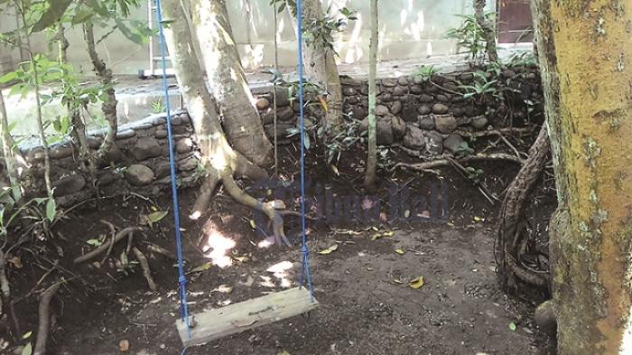 Ayunan Ini Menyimpan Kisah Tragedi Memilukan Para Bocah di Tabanan
