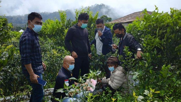 Wijana Tanam Uang Hasil Curian di Kebun Cabai, Terancam Hukuman Maksimal 5 Tahun Penjara