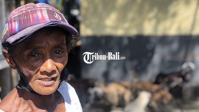 Kisah Sumiati, Wanita Sebatang Kara Asal Jember yang Rawat 60 Ekor Anjing Telantar di Padang Galak