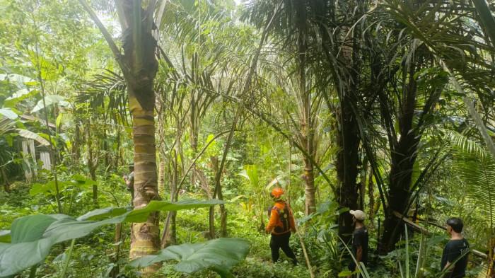 CARI - Tim SAR gabungan, Kamis (29/1/2026) saat berupaya mencari keberadaan lansia asal Desa Sangkan Gunung yang dilaporkan hilang.