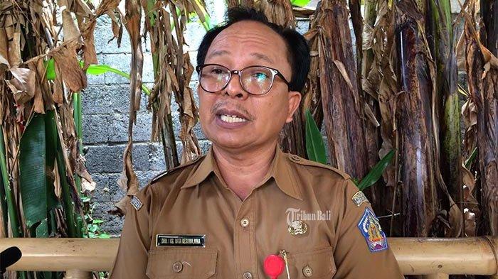 Pemda di Bali Wajibkan ASN Mepatung, Jamin Harga Babi Rp 26 Ribu Sampai Rp 28 Ribu