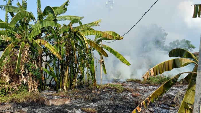 API Ngaben Sambar Rumput Kering, Warga Panik Terjadi Kebakaran di Setra Penarukan