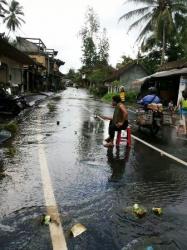 Kodok Pun Mancing di Tengah Jalan Raya Tegallalang Gianyar Bali