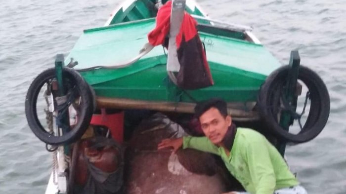Nelayan Penajam Tangkap Ikan Kerapu Raksasa Seberat 180 Kg, Tangkapan Ikan Terbesar Selama 10 Tahun