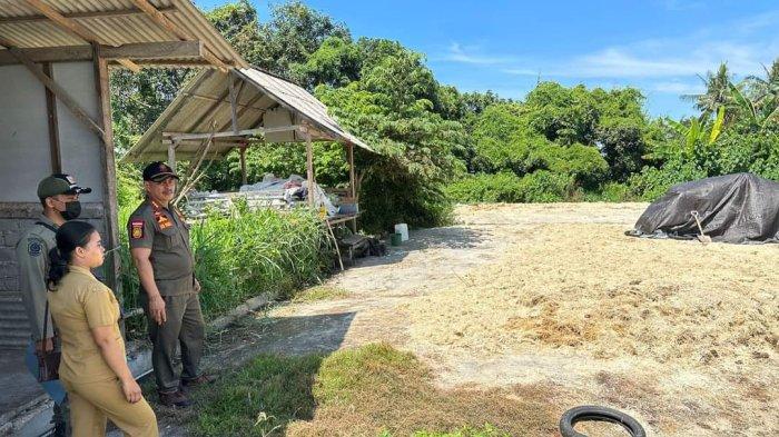 Warga Keluhkan Bau dari Usaha Pengeringan Bulu Ayam di Jembrana, Satpol PP Tindaklanjuti Laporan