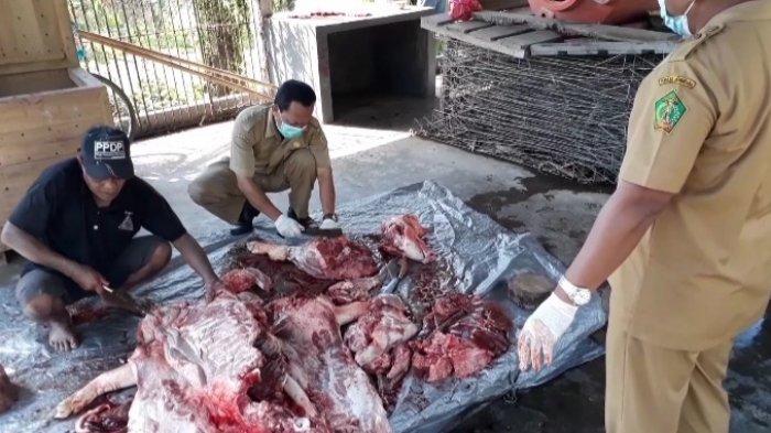 Harga Daging Babi Jelang Galungan, dari Peternak Rp 40 Ribu, di Pedagang Capai Rp 95 Ribu Per Kg