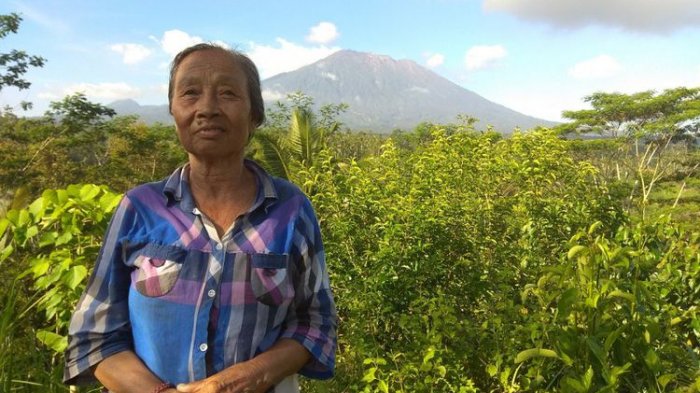 Cerita Saksi Mata Letusan Gunung Agung 1963: Sebelum Meletus Ada Suara Seperti Piring Pecah