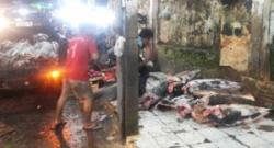 Hanya Empat Jenis Hiu Yang Dilindungi
