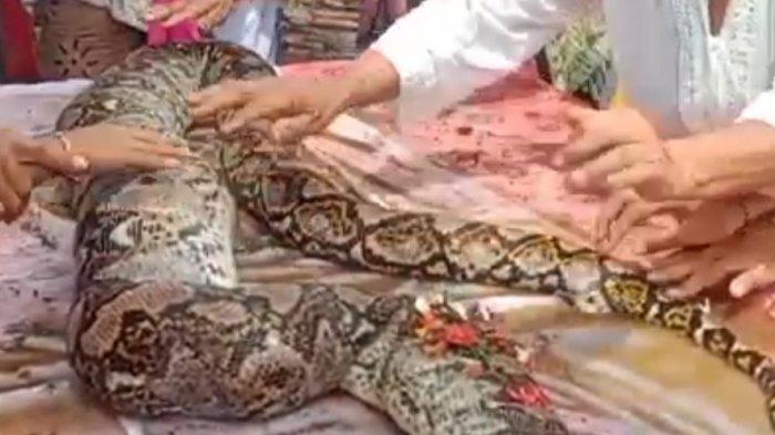 Talaba qizlarning XXX suratlari