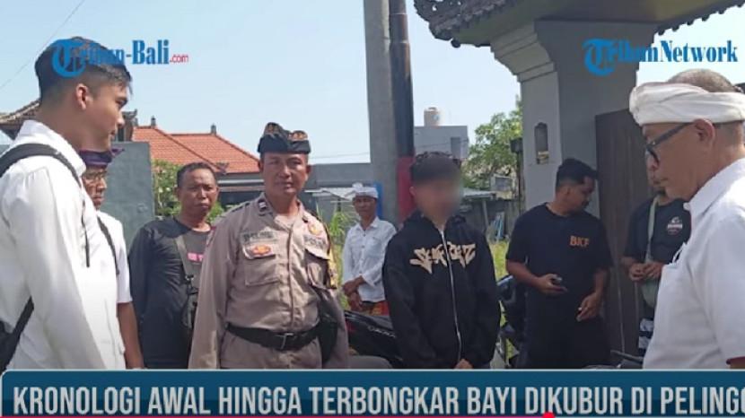 Tribun