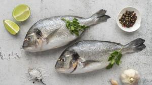 9-Arti-Mimpi-Ikan-Hitam-Raksasa-Pertanda-Perlu-Menjalani.jpg