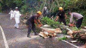 Angin-Kencang-Karangasem-Dikepung-Pohon-Tumbang.jpg