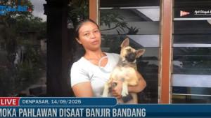Anjing-Bali-Moka-yang-menjadi-penyelamat-saat-banjir-bandang-menerjang-789.jpg