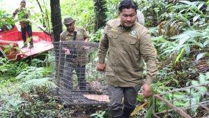 BKSDA-Bali-melepasliarkan-satwa-dilindungi.jpg