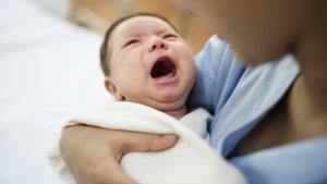 Bayi-Kembar-9-Itu-Akhirnya-Pulang-ke-Rumah-Ini-Nama-Nama-Mereka.jpg