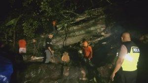 Bencana-pohon-tumbang-di-Kecamatan-Payangan.jpg