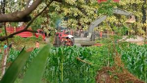 Distan-Buleleng-Bali-Sebut-Kegiatan-di-Hutan-Kota-Masih-Normal.jpg