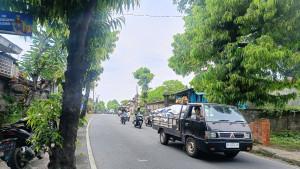 Evaluasi-pohon-Pohon-perindang-di-Jalan-Raya-Bedulu-Blahbatuh-Gianyar-Bali.jpg
